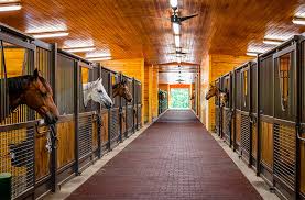 Stable, Tack Room & Arena