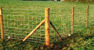 Fencing Post