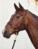 Economy Webbing Full Size Headcollar [20070]