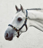 Economy Webbing Full Size Headcollar [20070]