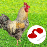 Hen Spectacles with Pins [003580010]