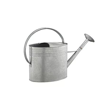 Galvanised Watering Can 2.5 Gallon [029GLVWATCAN25]