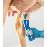 Blue Seal 250ml[187BS]