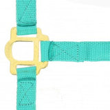 NORTON - Double Thickness - Nylon Headcollar -  Cob Size [37510040]