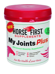 Horse First My Joints[235]