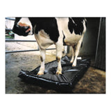Septicare cattle hoofmat [003113100001]