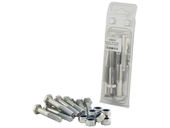 Shear Bolt M10x60mm (10 PACK) [024S55279]