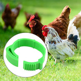 Poultry Leg Ring (20 PACK) [39550001]
