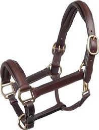 Deluxe Galaxy Leather Headcollar [010HSE200]