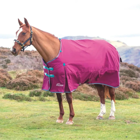 Highland Original 300 Turnout Rug[2029356]