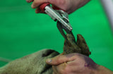 Felco Sheep Hoof Cutter [Fixed Handle] [039106608002]