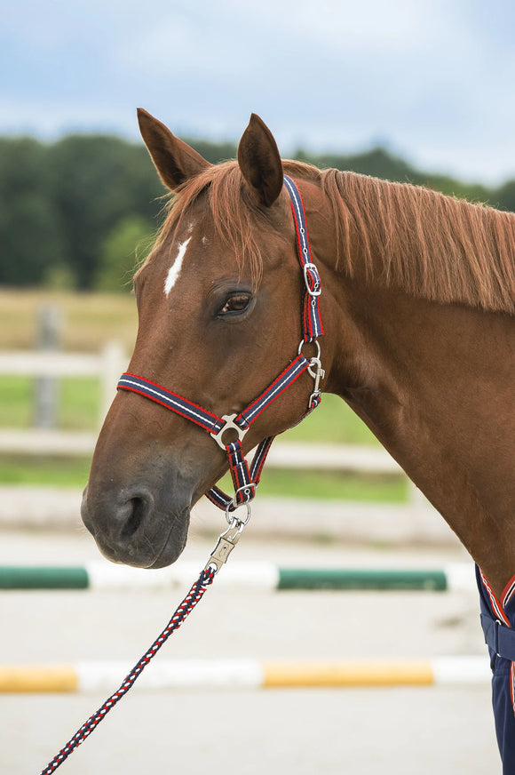 Norton Soft Tricolour Headcollar - Cob size [37510620077]
