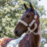 Norton Full Sheepskin Synthetique Doux Headcollar [03751001]