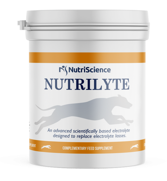 Greyhound Nutrilyte 400g [023203252]