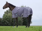 EQUITHEME 'TYREX 1200D' Recycled Turnout Rug Taupe 50g [03740075640a]