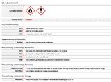LIGHTER GAS SILVERMEX 300 ML [225BX007313]