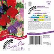 Sweet Pea Old Fashioned Scented Seed Mix [131G134254]