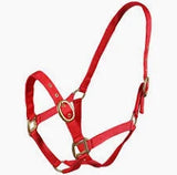 TurfMasters Nylon Head-Collar Weanling /Yearling  (BP) [096311][09611158]