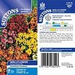 Wallflower Persian Carpet Seed Mix [131G138228]