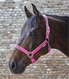 Waldhausen Crystal Halter/Headcollar [023204211]