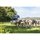 Sun Power S 2400 Smart [10FEN99917]