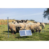 Sun Power S 2400 Smart [10FEN99917]
