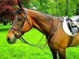 Hunting Breastplate Martingale[166m2fgb]