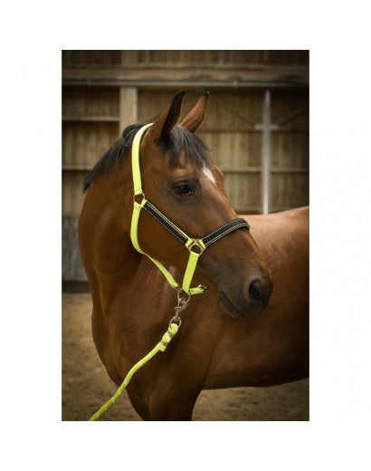 Equitheme High Visability Padded Headcollar [37510095220]