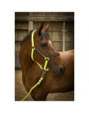 Equitheme High Visability Padded Headcollar [37510095220]