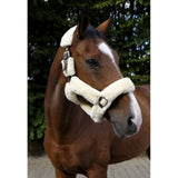 EQUITHÈME Teddy Head Collar [037510092]