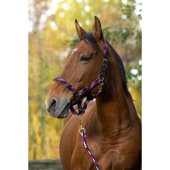 Equitheme Braided Halter / Headcollar [037510629]