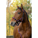 Equitheme Braided Halter / Headcollar [037510629]