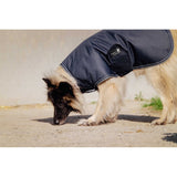 Equitheme Tyrex 600D Dog Rug [0374090362]