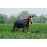 Equitheme Tyrex Standard Turnout 600D Rug 0g Green [0374005529]
