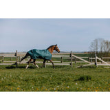 Equitheme Tyrex Standard Turnout 600D Rug 0g Green [0374005529]