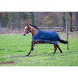 Equitheme Tyrex Turnout Rug 600D 300g Green [0374005559]