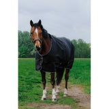 Equitheme Tyrex Standard Turnout 600D Rug 0g Green [0374005529]