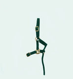 Turfmasters Nylon Halter (BP) Foal Slip [9611156]
