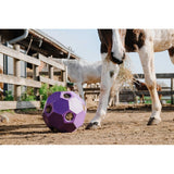 Slow Feeder Hay Ball [037900115]