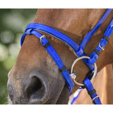 NORTON CLUB Synthetic Bridle [037302011]