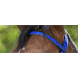 NORTON CLUB Synthetic Bridle [037302011]