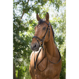 NORTON CLUB Synthetic Bridle [037302011]