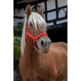 Norton Pro Draught Headcollar[037510194]