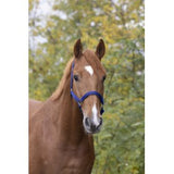NORTON Leather Lined Nylon Headcollar [03751018]