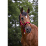 Norton Nylon Head Collar Neoprene Lined [037510494]