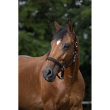 Norton Nylon Head Collar Neoprene Lined [037510494]