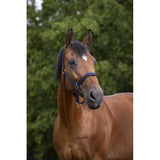 Norton Nylon Head Collar Neoprene Lined [037510494]