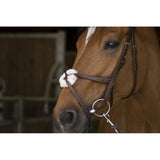 Norton Pro cross noseband Bridle [037301893]
