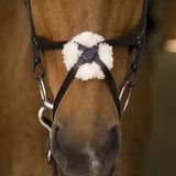 Norton Pro cross noseband Bridle [037301893]