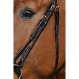 Norton Pro Bridle Gravure [037301873302]
